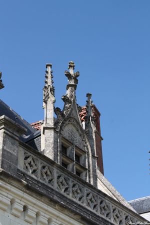 AMBOISE-2013--03