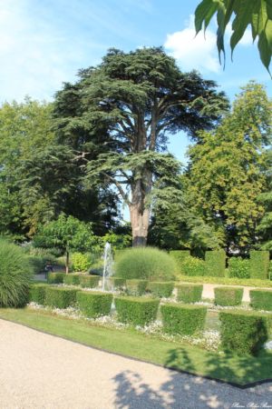 CHEVERNY-2013--17