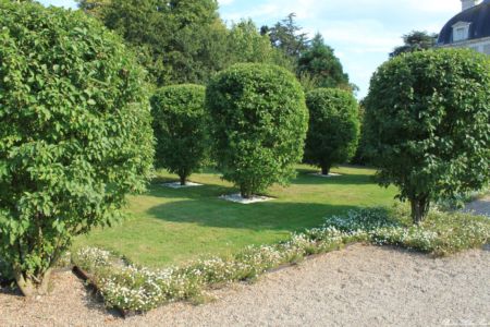 CHEVERNY-2013--19