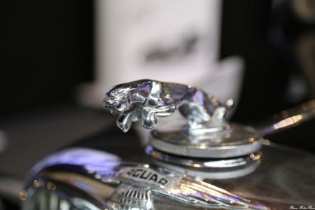 EXPO-2015-JAGUAR--12