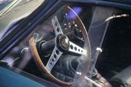 EXPO-2015-JAGUAR--30
