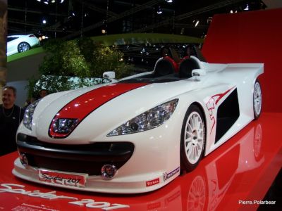 SalAuto-Paris-2006-006